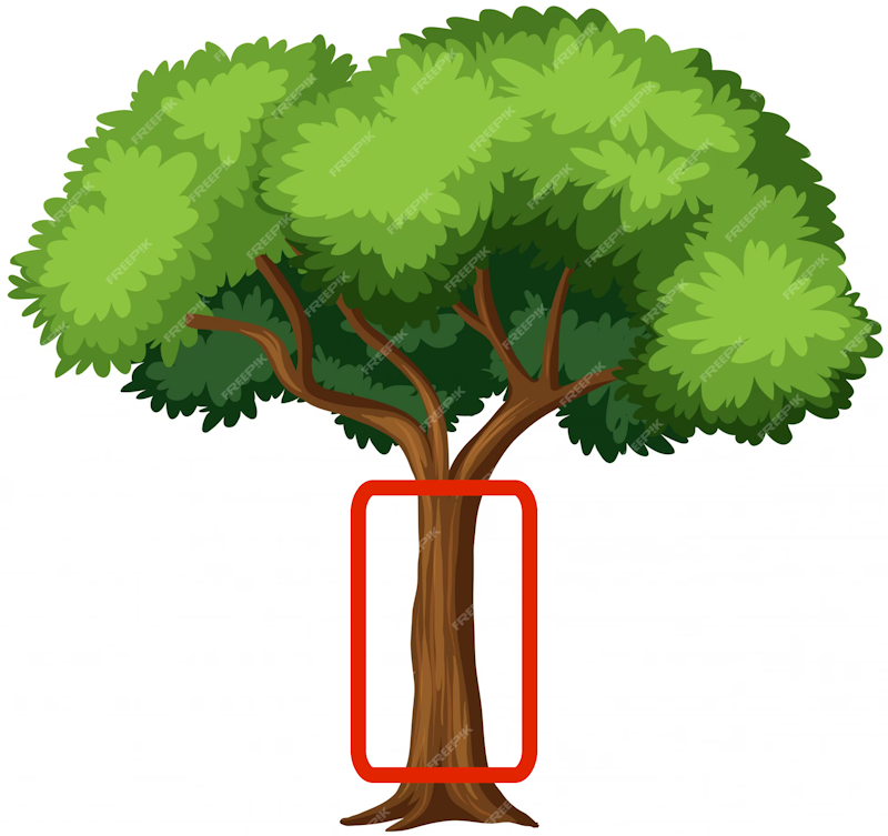 Tín